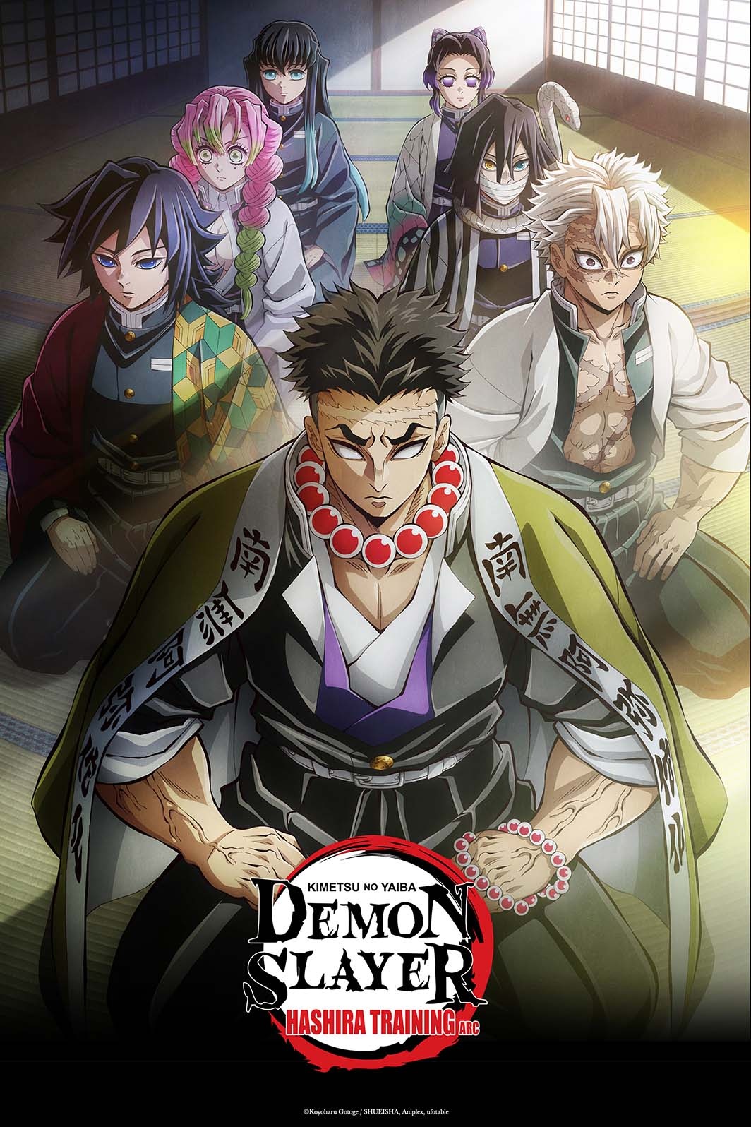 Demon Slayer: Kimetsu no Yaiba Hashira Training Arc Streams May 12 on Crunchyroll