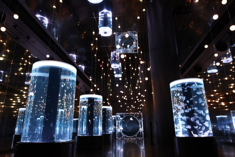 The Rose of Versailles Anime Transforms Maxell Aqua Park into a European Palace