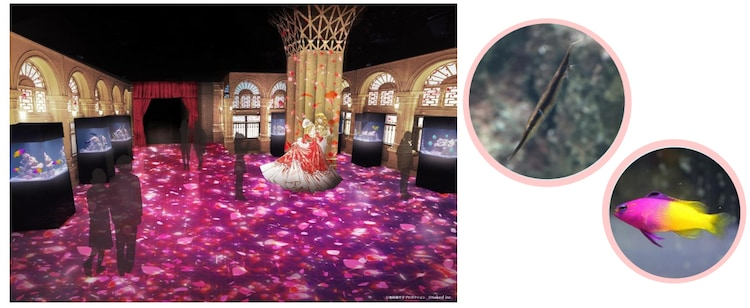 The Rose of Versailles Anime Transforms Maxell Aqua Park into a European Palace